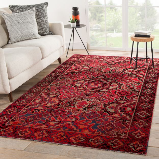 Jaipur Living Chaya Indoor Outdoor, Red And Black Area Rugs For Living Room