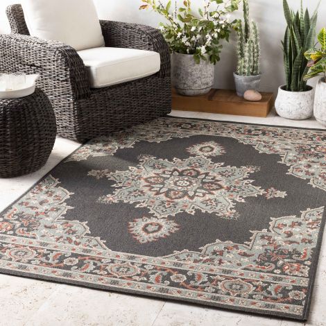 Alfresco ALF-9671 Multi Color Machine Woven Traditional Area Rugs By Surya