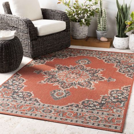 Alfresco ALF-9672 Multi Color Machine Woven Traditional Area Rugs By Surya