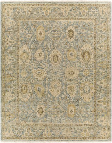 Anatolia ANY-2307 Sage, Dark Brown Hand Knotted Traditional Area Rugs By Surya