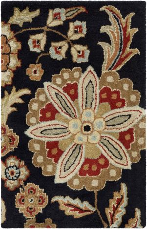 Athena ATH-5017 Multi Color Hand Tufted Cottage Area Rugs By Surya