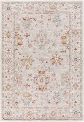 Avant Garde AVT-2311 Multi Color Machine Woven Traditional Area Rugs By Surya