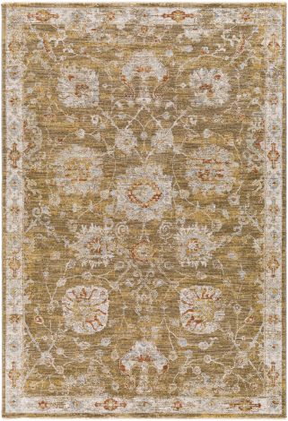 Avant Garde AVT-2320 Multi Color Machine Woven Traditional Area Rugs By Surya