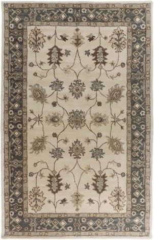 Middleton AWHR-2050 Khaki, Teal Hand Tufted Traditional Area Rugs By Surya