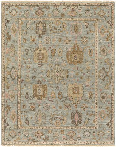 Biscayne BSY-2305 Beige, Dark Green Hand Knotted Traditional Area Rugs By Surya