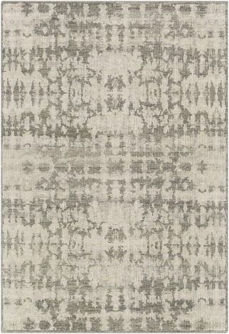 Biscayne BSY-2309 Sage, Ivory Hand Knotted Modern Area Rugs By Surya