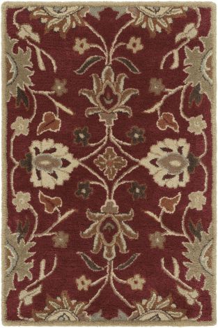 Caesar CAE-1061 Multi Color Hand Tufted Traditional Area Rugs By Surya