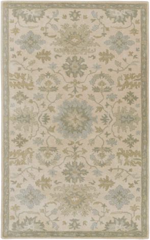 Caesar CAE-1161 Beige, Sage Hand Tufted Traditional Area Rugs By Surya