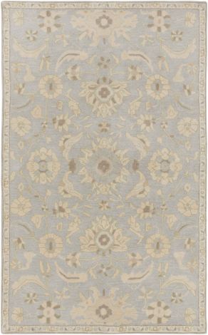 Caesar CAE-1162 Light Gray, Beige Hand Tufted Traditional Area Rugs By Surya