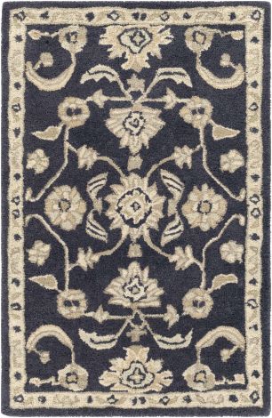 Caesar CAE-1164 Ink, Beige Hand Tufted Traditional Area Rugs By Surya