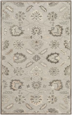 Caesar CAE-1198 Taupe, Charcoal Hand Tufted Traditional Area Rugs By Surya