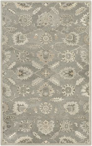 Caesar CAE-1199 Charcoal, Taupe Hand Tufted Traditional Area Rugs By Surya