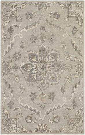 Caesar CAE-1201 Taupe, Charcoal Hand Tufted Traditional Area Rugs By Surya