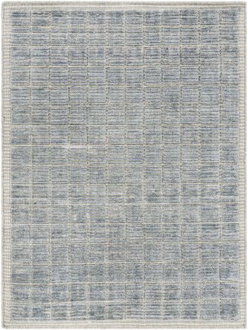 Carre CCR-2303 Denim, Beige Hand Loomed Modern Area Rugs By Surya