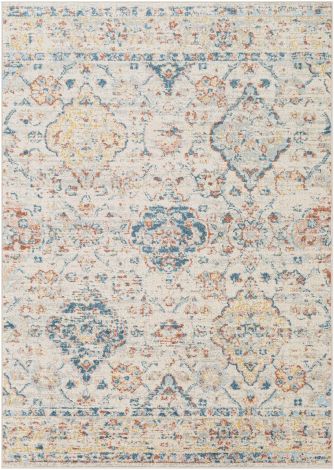 Chester CHE-2364 Ivory, Medium Gray Machine Woven Traditional Area Rugs By Surya