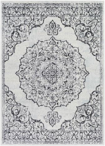 Chester CHE-2377 Black, Charcoal Machine Woven Traditional Area Rugs By Surya
