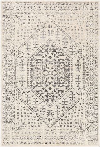 City CIT-2381 Taupe, Black Machine Woven Traditional Area Rugs By Surya