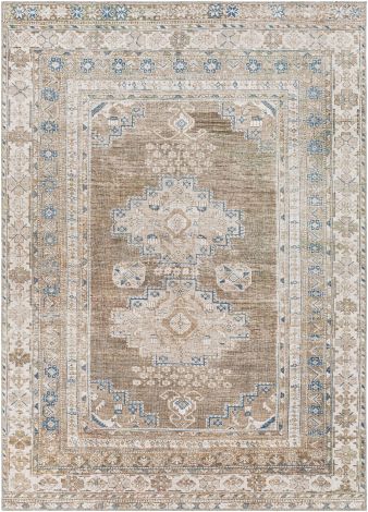 Colin CLN-2303 Machine Woven Area Rugs By Surya