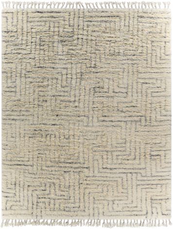 Camille CME-2302 Cream, Medium Gray Hand Knotted Global Area Rugs By Surya
