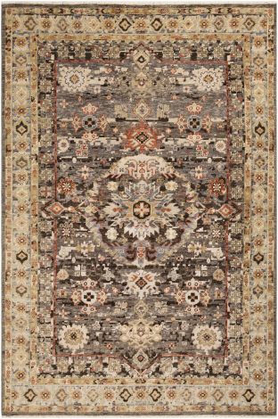 Cappadocia CPP-5029 Taupe, Cream Hand Knotted Traditional Area Rugs By Surya