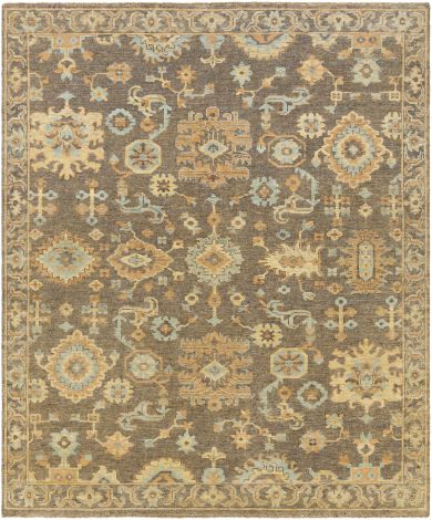 Cappadocia CPP-5032 Burnt Orange, Seafoam Hand Knotted Traditional Area Rugs By Surya