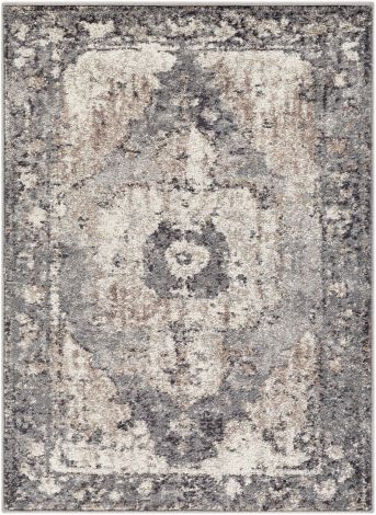 Chelsea CSA-2304 Charcoal, Dark Brown Machine Woven Traditional Area Rugs By Surya