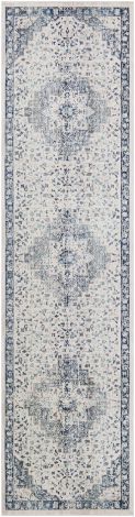 Dublin DUB-2302 Multi Color Machine Woven Traditional Area Rugs By Surya
