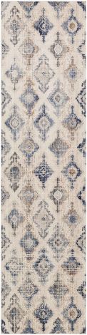 Dublin DUB-2310 Taupe, White Machine Woven Traditional Area Rugs By Surya