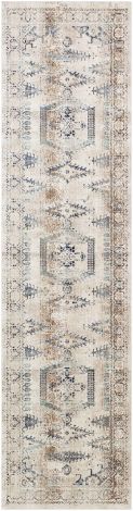 Dublin DUB-2311 Multi Color Machine Woven Traditional Area Rugs By Surya