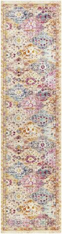 Dublin DUB-2312 Multi Color Machine Woven Traditional Area Rugs By Surya