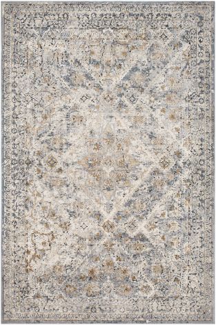Durham DUR-1016 Medium Gray, Taupe Machine Woven Traditional Area Rugs By Surya