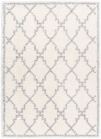 Deluxe Shag DXS-2305 White, Medium Gray Machine Woven Cottage Area Rugs By Surya