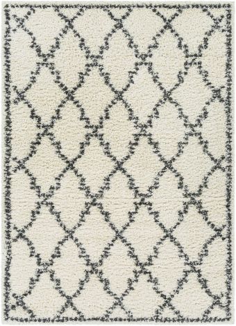 Deluxe Shag DXS-2306 Cream, Charcoal Machine Woven Cottage Area Rugs By Surya