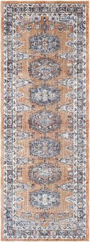 Daytona Beach DYT-2308 Multi Color Machine Woven Traditional Area Rugs By Surya