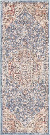 Daytona Beach DYT-2313 Teal, Charcoal Machine Woven Traditional Area Rugs By Surya