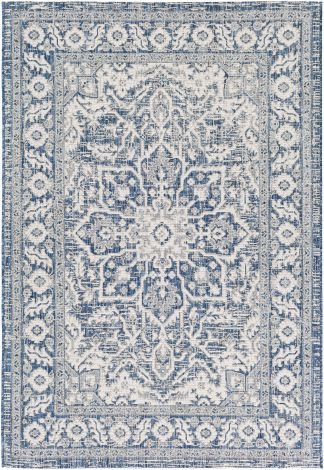 Eagean EAG-2336 Navy, Denim Machine Woven Traditional Area Rugs By Surya