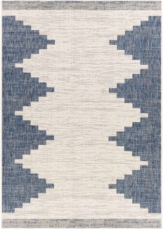 Eagean EAG-2355 Multi Color Machine Woven Modern Area Rugs By Surya
