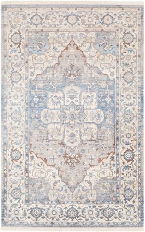 Ephesians EPC-2317 Sky Blue, Beige Machine Woven Traditional Area Rugs By Surya