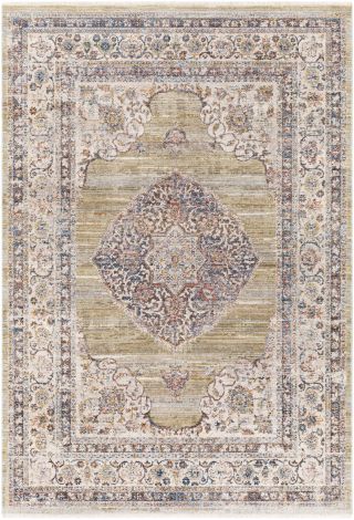 Ephesians EPC-2341 Olive, Taupe Machine Woven Traditional Area Rugs By Surya