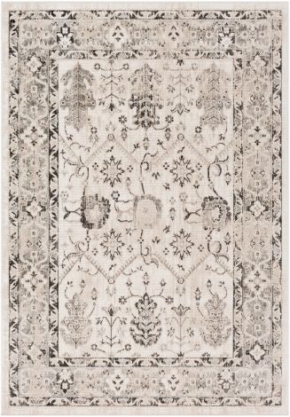 Rafetus ETS-2347 Camel, Black Machine Woven Traditional Area Rugs By Surya