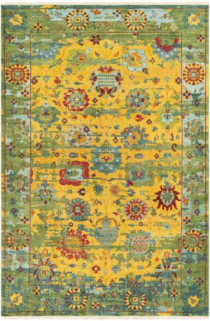 Festival FVL-1005 Multi Color Hand Knotted Traditional Area Rugs By Surya