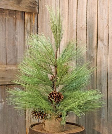 Buy Long Needle Pine Tree, 30" Online