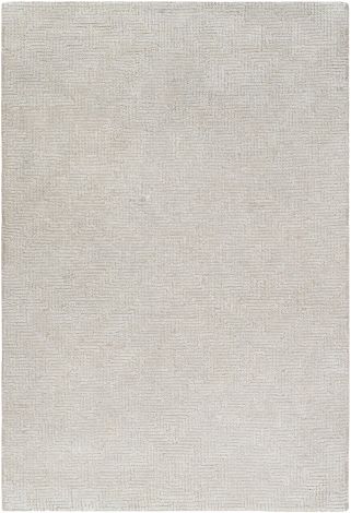 Halcyon HCY-2303 Taupe, Cream Hand Tufted Modern Area Rugs By Surya