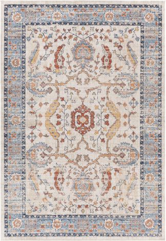 Huntington Beach HTB-2301 Multi Color Machine Woven Traditional Area Rugs By Surya