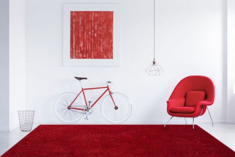 Illustrations Suma Red Polyester Shag Area Rugs By Amer.