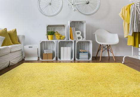 Illustrations Suma Yellow Polyester Shag Area Rugs By Amer.