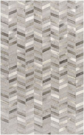 Jardin JRD-2302 Taupe, Camel Hand Woven Modern Area Rugs By Surya