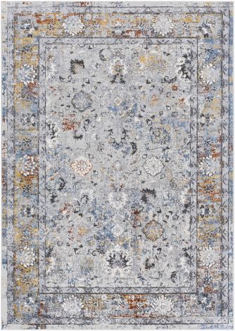Lustro LSR-2323 Multi Color Machine Woven Traditional Area Rugs By Surya