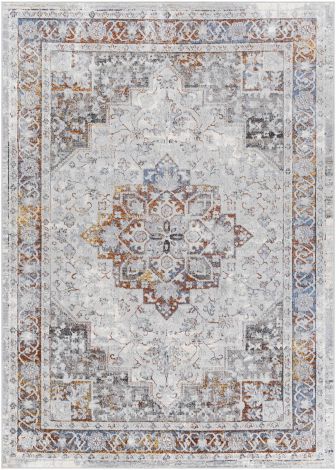 Lustro LSR-2325 Multi Color Machine Woven Traditional Area Rugs By Surya
