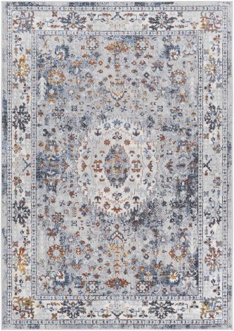 Lustro LSR-2328 Multi Color Machine Woven Traditional Area Rugs By Surya
